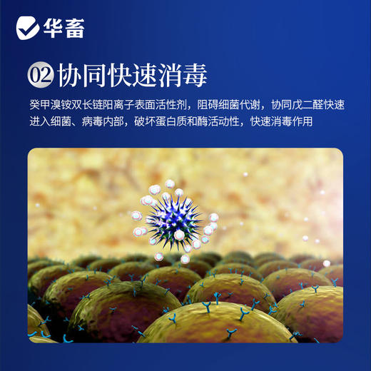 华畜兽药 戊二醛癸甲溴铵溶液 复合型消毒更彻底 协同增效 抗干扰 渗透性强 商品图2