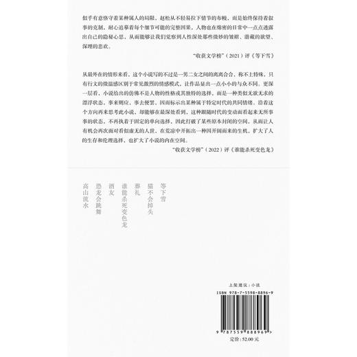 等下雪（赵松全新小说集，收录“收获文学榜”获奖作品。在一片空茫中，等待一场也许永远不会到来的雪） 商品图2