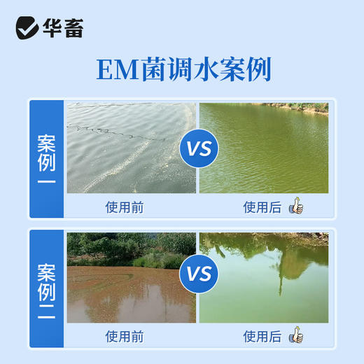 华畜EM益生菌浓缩粉500g 调节水质祛除油膜 复合菌种产气更强 商品图4