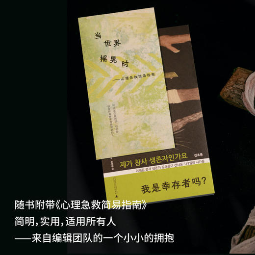 我是幸存者吗？（一位普通女性的创伤自救：如果生命是一场巨大PTSD，愿本书成为你深夜里的温柔回响。 商品图3