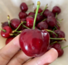 新疆车厘子 大樱桃 应季水果 商品缩略图7