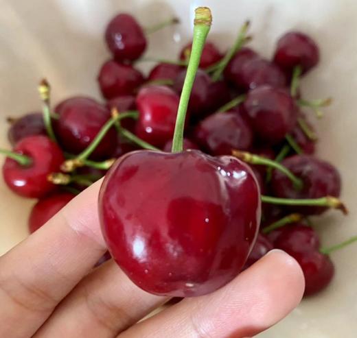 新疆车厘子 大樱桃 应季水果 商品图7
