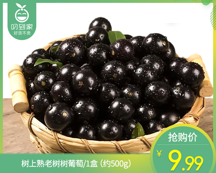 树上熟老树树葡萄/1盒（约500g）