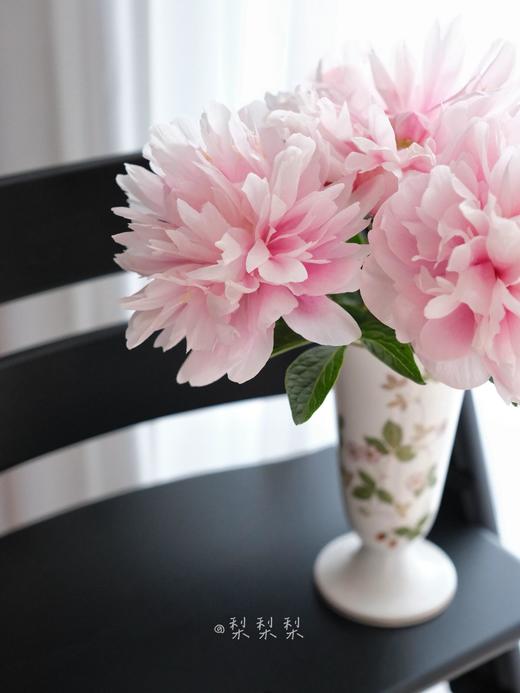 【预售！4.20起陆续发出】小丑【人间四月天，芍药铺庭前】简小姐精选粉色新品 小丑5枝 2件顺丰包邮 商品图5