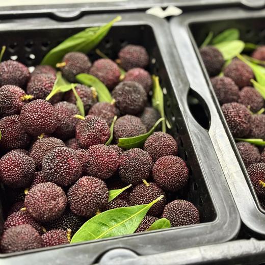 春日尝鲜~【云南普早小杨梅】云南早熟品种，果型小巧，果色偏紫红，果肉紧实干爽，酸甜风味浓郁，杨梅味还不错。江浙沪皖顺丰包邮~ 商品图1