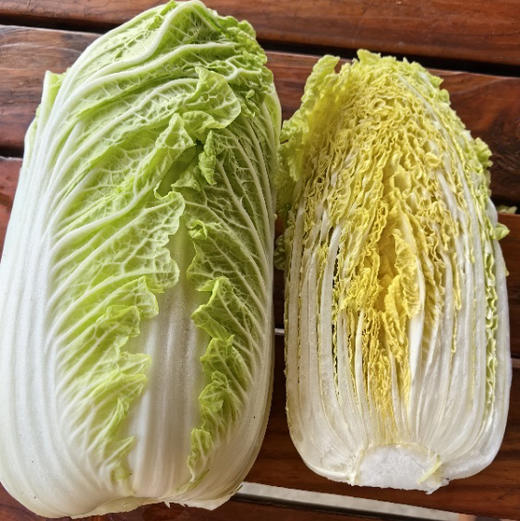 【下单后48小时发货】河北张家口 生态有机蔬菜包5斤装左右/箱，球生菜、绿甘蓝、娃娃菜、莴笋，也可每种单选 商品图10