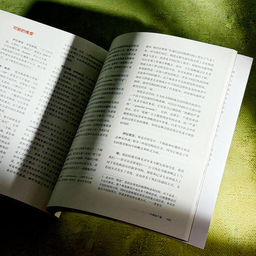 学习的奇迹 儿童的一百种语言 意大利瑞吉欧教育 商品图12