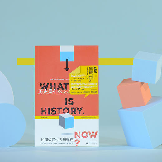 历史是什么2.0：如何沟通过去与现在（戏说伪史？走样的女性史？被遮蔽的酷儿史？从彼得弗兰科潘到西蒙沙玛，史学大佬领衔，一次说清。 商品图4