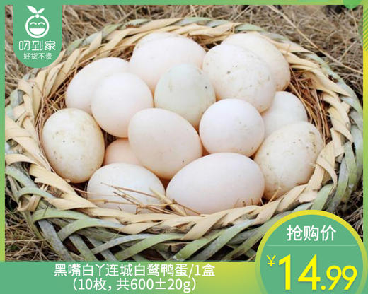 黑嘴白丫连城白鹜鸭蛋/1盒（10枚，共650g±50g）生产日期：4月16日左右 商品图0