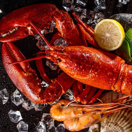 2288型-奢华海鲜 商品图2