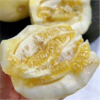 如蜂蜜般甜脆！【山东冰糖蜜罐甜瓜 】3斤/4.5斤 浓香多汁 肉脆瓤蜜爽口不齁喉 外皮薄 直接洗洗带皮吃 商品缩略图14