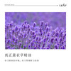 利芙耶  [心宁悦]精油组合 茶树薰衣草佛手柑 商品缩略图6