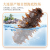 2288型-鲜食海参礼盒 商品缩略图5