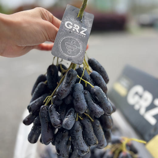 石家庄优选仓库速达，澳洲黑手指 黑提GRZ，果肉颗颗饱满，皮薄脆甜，高甜无籽，2斤散装称重 商品图0