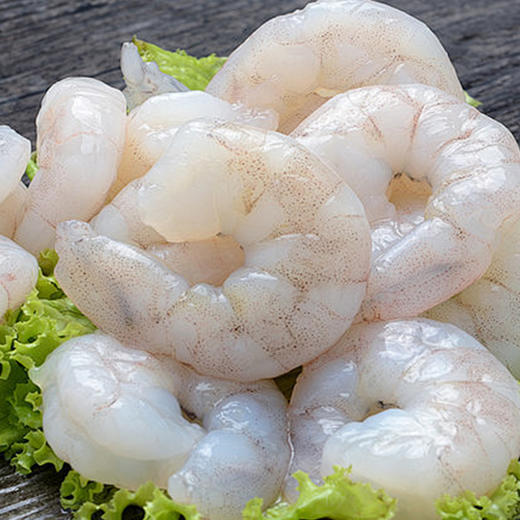 1288型-遨游四海海鲜 商品图1