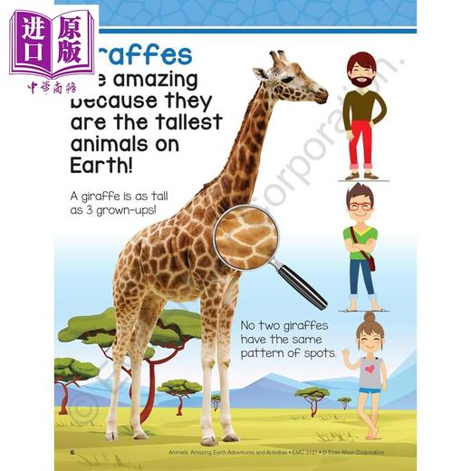 【中商原版】Evan Moor Animals Amazing Earth Adventures and Activities 奇妙的地球冒险 动物 4-5岁 美国教辅原版evanmoor 商品图4