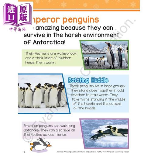 【中商原版】Evan Moor Animals Amazing Earth Adventures and Activities 奇妙的地球冒险 动物 8-9岁 美国教辅原版evanmoor 商品图1