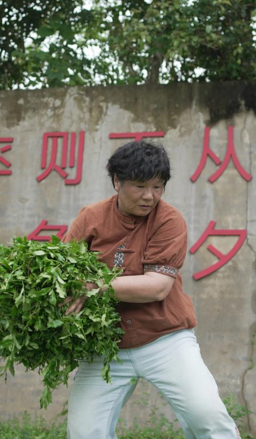 新品首发---清欢玉琼。花香四溢、清雅悠香 商品图3