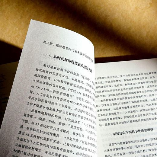 驾驭AI 未来教师的进阶之路 大夏书系 教师专业发展 商品图7