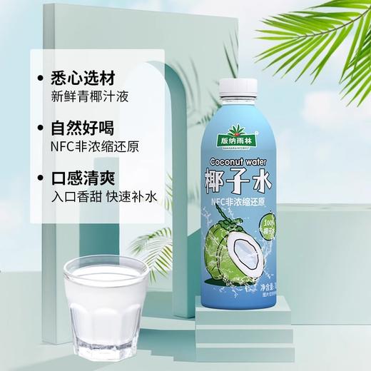 版纳雨林0糖椰汁1L 商品图2