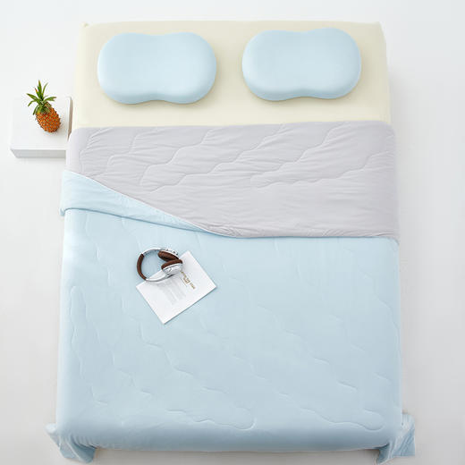 西域楼兰冰皮凉感丝双色蚕丝夏凉被【放心甄选】 商品图10