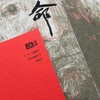 猴命:揭秘农村养老困境之书 老年版'活着' 商品缩略图2