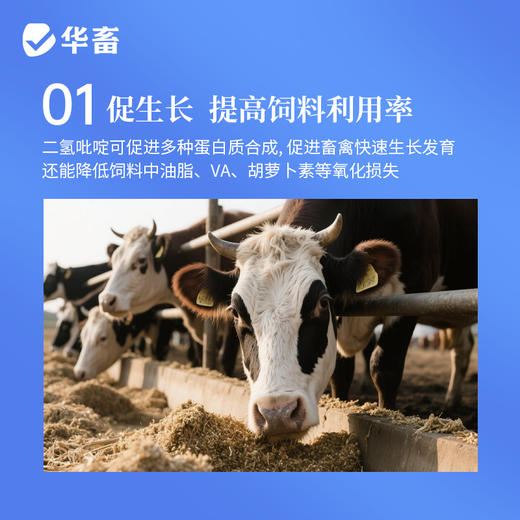 华畜 母子康肥 促进生长 提高饲料利用率 改善繁殖性能 商品图3