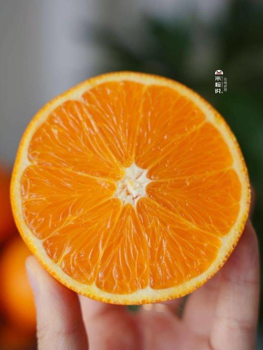【峡江橙·春日伦晚】新鲜现摘 香甜多汁 细嫩无渣 富含丰富维生素C，一口爆汁-CC 商品图10