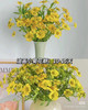 预售15号到货 油画小菊 春天蓬勃的生命力 一扎300g 商品缩略图2
