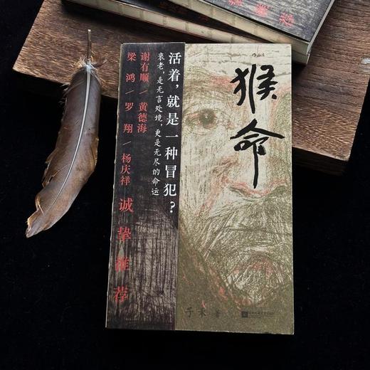猴命:揭秘农村养老困境之书 老年版'活着' 商品图1