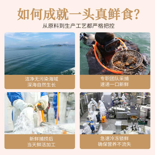 2288型-鲜食海参礼盒 商品图4