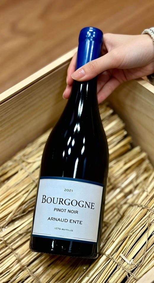 阿诺昂特勃艮第红葡萄酒 2020/2021 Domaine Arnaud Ente Bourgogne Pinot Noir 商品图1