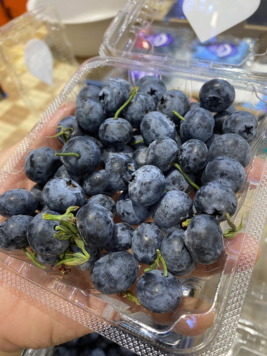 宏丰精选   云南蓝莓，果粉足，口感纯甜，活动价9.9元2盒 商品图0