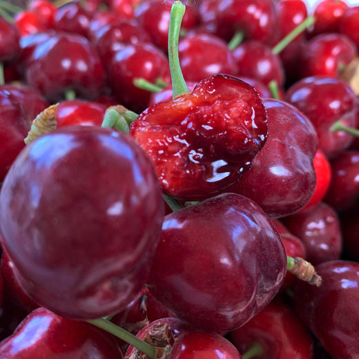 新疆车厘子 大樱桃 应季水果 商品图1