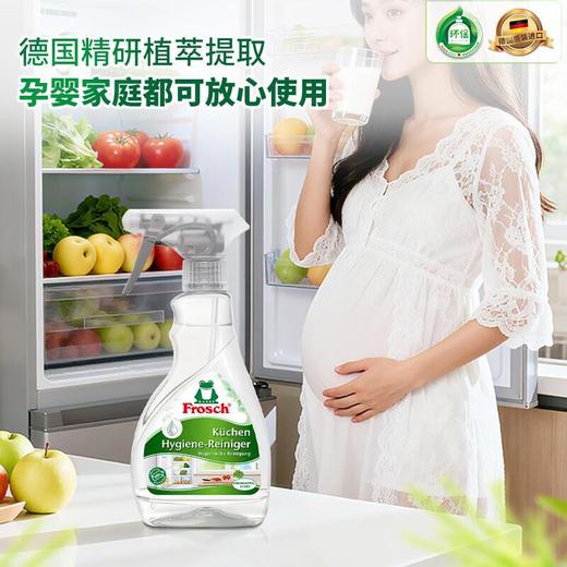 Frosch福纳丝 环保冰箱洁净除味喷剂300ml 商品图0