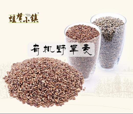 野旱麦石磨面粉2.5kg【基地直发】产地：山东 商品图1