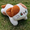 ZY猫咪可爱毛绒公仔抱枕-纪念日百货门店同款171294445 商品缩略图4