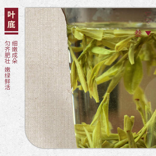 【山纯限品】（2026年绿茶）011狮峰龙井龙井43号30g 商品图4