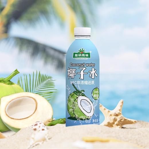版纳雨林0糖椰汁1L 商品图0