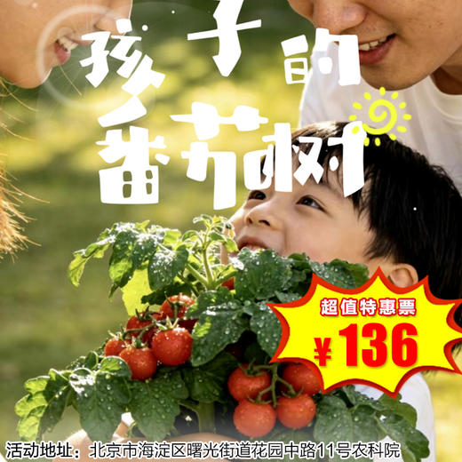 【半日营·4月18日-5月31日】孩子的蕃茄树，自然搬进童年。用心守护，幼苗到挂满红果，在观察与照料中，学会坚持与热爱，亲手摘果实，最甜最有意义！4H 商品图0