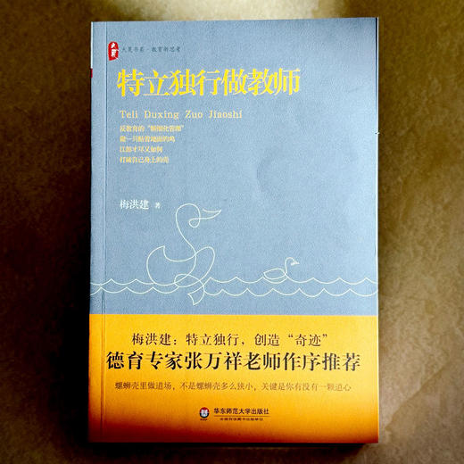 特立独行做教师 大夏书系 教育新思考 德育专家张万祥老师作序推荐 中小学教师教育理论 商品图1