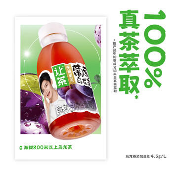让茶无糖葡萄乌龙果茶饮料0糖0脂肪火锅烧烤饮品450ml*15瓶整箱装 /水饮冲调 /饮料 /茶饮料 商品图2