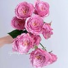 多头玫瑰 | 测试粉 商品缩略图0