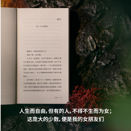 女朋友们（野生作者和她的普通女人故事集：小镇做题家、过气女艺人、北漂女青年……野草一样坚韧，烈火一样灼烧，满怀杀不死的欲望 商品图4