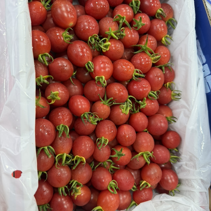 小番茄 2号果 口感不错 👍19.9/件 2斤装