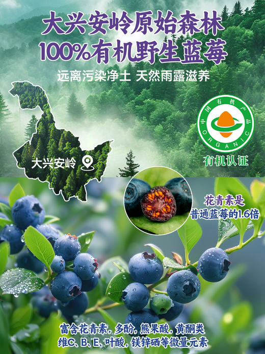 每日乔安·有机野生蓝莓原浆 配料干净 不加1滴水 商品图8
