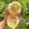 如蜂蜜般甜脆！【山东冰糖蜜罐甜瓜 】3斤/4.5斤 浓香多汁 肉脆瓤蜜爽口不齁喉 外皮薄 直接洗洗带皮吃 商品缩略图11