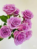 现货薰衣草紫色系玫瑰 紫霞仙子玫瑰 浪漫又梦幻 一扎10支 商品缩略图0