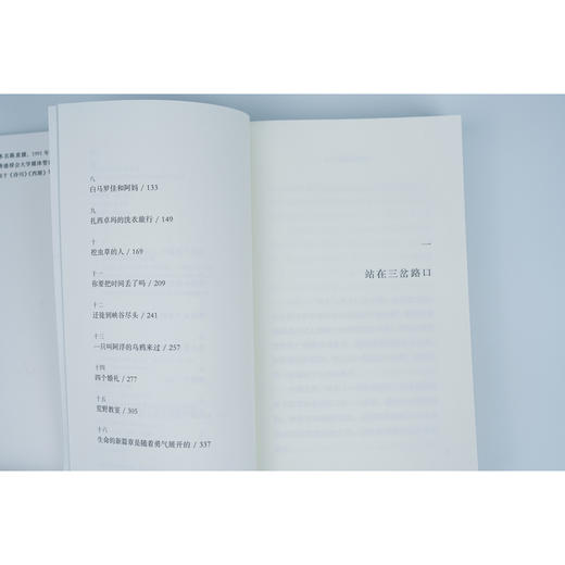火流星飞过马尼干戈（30岁逃离城市，去往雪域小镇开启写作。十六篇散文，记述阿逴在马尼干戈的日常生活） 商品图5