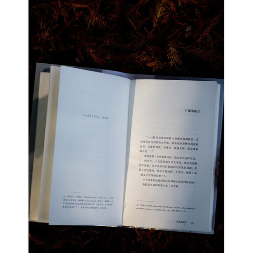 夜：格言与随笔 1912—1919（维也纳的良知、斗士和语言天才， 卡尔·克劳斯作品国内首次翻译出版） 商品图4